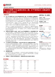 国机精工点评报告：拟2.6亿投资CVD金刚石项目二期，扩产培育钻石+功能金刚石