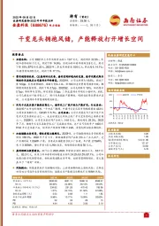 干变龙头拥抱风储，产能释放打开增长空间