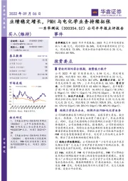 公司半年报点评报告：业绩稳定增长，PMH与电化学业务持续拓张