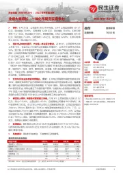2022年半年报点评:业绩大幅增长,一体化布局夯实竞争力