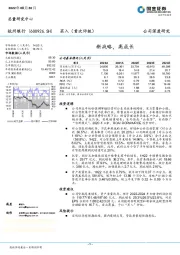 新战略，高成长
