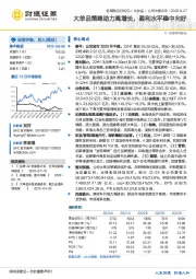 大单品策略助力高增长，盈利水平稳中向好