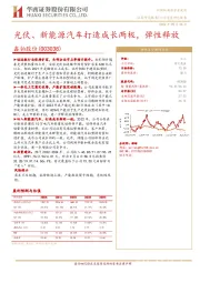 光伏、新能源汽车打造成长两极，弹性释放