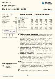 新能源布局加速，变频器领导者再起航