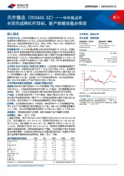 半年报点评:全面完成降杠杆目标,新产能建设稳步推进