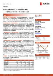 投资价值分析报告:软包龙头静待转折,三元战略定位高端