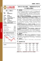安防芯片技术领先,智能硬件和汽车电子引领未来增长
