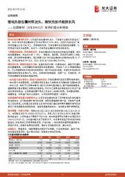投资价值分析报告:锂电负极包覆材料龙头,乘快充技术趋势东风