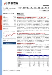 公司深度报告：“双碳”超长赛道主力军，乘信息能量共振之风起舞