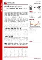 磷酸铁锂产业巨头，矿化一体保障长期成长