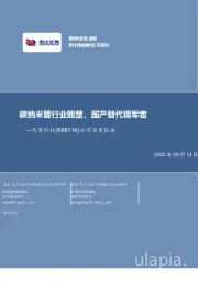 公司深度报告:碳纳米管行业翘楚,国产替代领军者