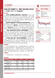 首次覆盖报告：化肥天然气两翼齐飞，两极三基引领公司未来