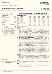 网安龙头持续领跑，技术领先持续扩张