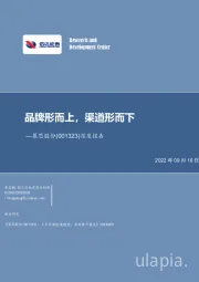深度报告：品牌形而上，渠道形而下