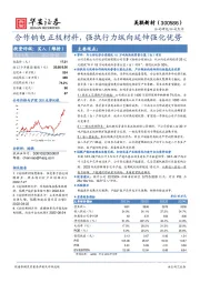 合作钠电正极材料，强执行力纵向延伸强化优势