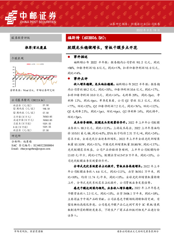 胶膜龙头稳健增长，背板干膜多点开花