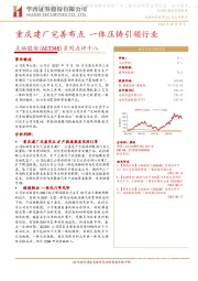 系列点评十八:重庆建厂完善布点 一体压铸引领行业