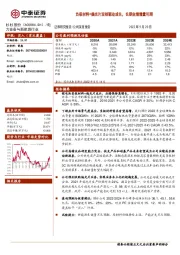 负极材料+偏光片双核驱动成长，长期业绩增量可期
