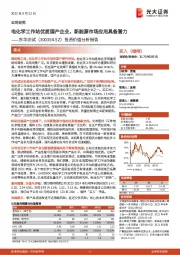 投资价值分析报告：电化学工作站优质国产企业，新能源市场应用具备潜力