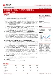 凯美特气点评报告:股权激励授予完成,电子特气有望高增长