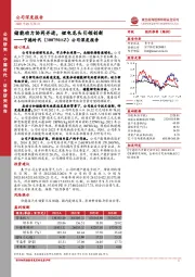 公司深度报告：储能动力协同并进，锂电龙头引领创新