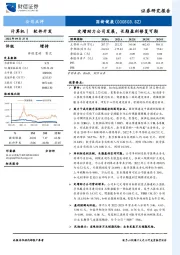 定增助力公司发展，长期盈利修复可期