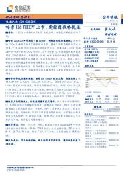 哈弗H6 PHEV上市，新能源战略提速