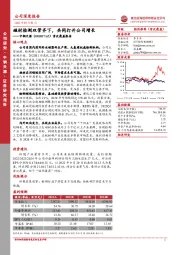 首次覆盖报告：磁材检测双管齐下，共同打开公司增长