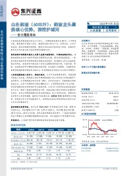 首次覆盖报告:药玻龙头聚焦核心优势,深挖护城河