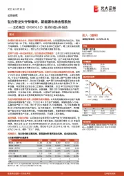 投资价值分析报告:钛白粉龙头守待春来,新能源布局含苞欲放