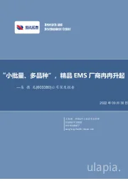 公司深度报告：“小批量、多品种”，精品EMS厂商冉冉升起