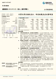 内贸化学品海运龙头，布局液氨先发优势明显