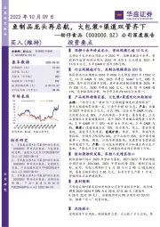公司深度报告:鱼制品龙头再启航,大包装+渠道双管齐下