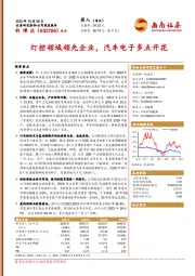 灯控领域领先企业,汽车电子多点开花