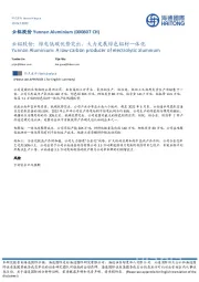 云铝股份:绿电低碳优势突出,大力发展绿色铝材一体化