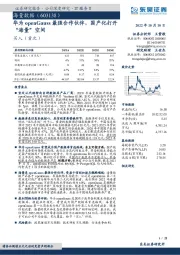 华为openGauss最强合作伙伴，国产化打开“海量”空间