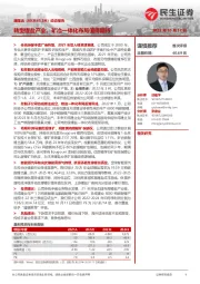 动态报告:转型锂盐产业,矿冶一体化布局值得期待