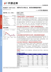 公司首次覆盖报告：消费电芯头部企业，转型动储赋能新增长