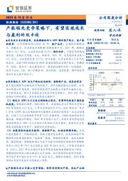 产能领先竞争策略下，有望实现成长与盈利的双丰收