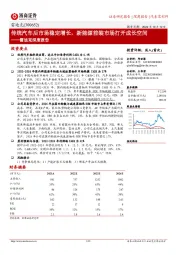 雷迪克深度报告：传统汽车后市场稳定增长，新能源前装市场打开成长空间