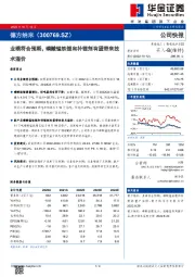 业绩符合预期,磷酸锰铁锂和补锂剂有望带来技术溢价