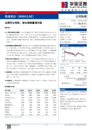 业绩符合预期,锂电隔膜量增利稳