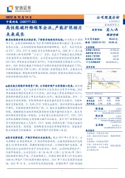 高性能碳纤维领军企业，产能扩张助力未来成长