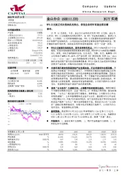 WPS公文版正式向党政机关推出，信创业务明年有望全面回暖