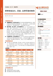 深度研究:便携储能龙头,渠道、品牌双翼助翱翔