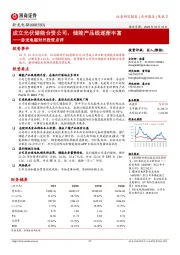 卧龙电驱对外投资点评:成立光伏储能合资公司,储能产品线逐渐丰富