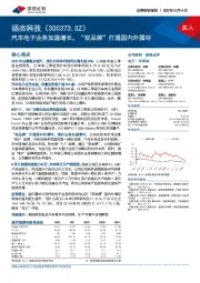 汽车电子业务加速增长，“双品牌”打通国内外循环