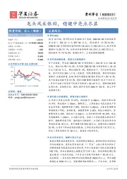 龙头风采依旧,稳健中亮点尽显