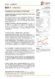 产品结构升级+新兴市场发力打开成长空间