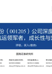 公司深度报告：内贸化学品航运领军者，成长性与定价能力兼备